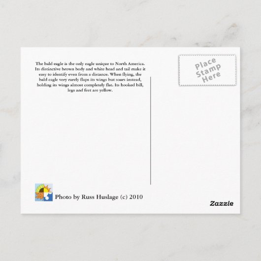 Carte Postale Aigle (Dos)