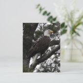 Carte Postale Aigle 10 (Debout devant)