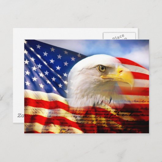 Carte Postale Aigle à drapeau américain (Devant / Derrière)