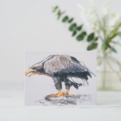 Carte Postale Aigle à queue blanche 2001 (Debout devant)