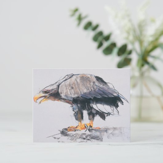 Carte Postale Aigle à queue blanche 2001 (Debout devant)