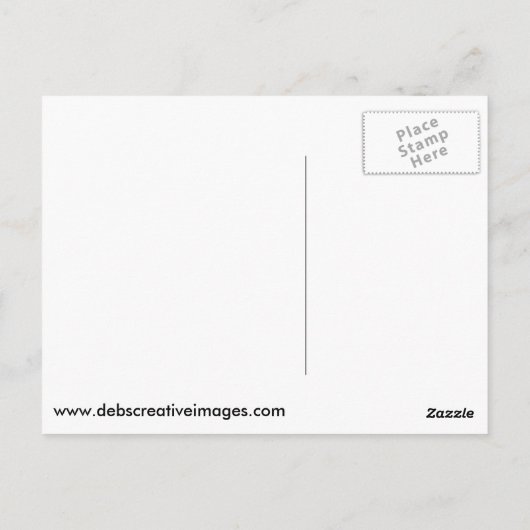 Carte Postale Aigle à tête blanche (Dos)