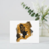 Carte Postale Aigle à tête blanche américaine (Debout devant)