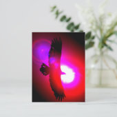 Carte Postale Aigle à tête blanche américaine (Debout devant)