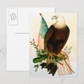 Carte Postale Aigle à tête blanche avec drapeau (Devant / Derrière)