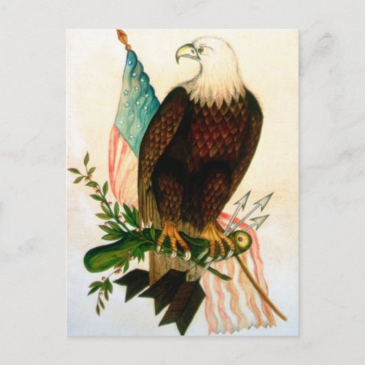 Carte Postale Aigle à tête blanche avec drapeau (Devant)