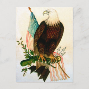 Carte Postale Aigle à tête blanche avec drapeau