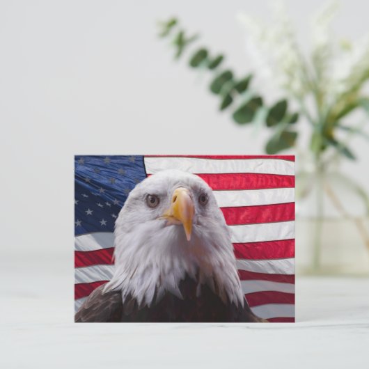 Carte Postale Aigle à tête blanche et drapeau américain (Debout devant)