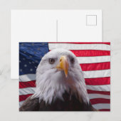 Carte Postale Aigle à tête blanche et drapeau américain (Devant / Derrière)