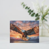 Carte Postale aigle américain (Debout devant)