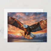 Carte Postale aigle américain (Devant / Derrière)