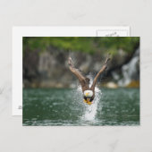 Carte Postale Aigle Bald Le Gros Catch (Devant / Derrière)