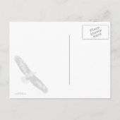 Carte Postale Aigle Bald Me Regardant (Dos)