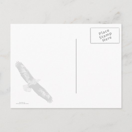 Carte Postale Aigle Bald Me Regardant (Dos)