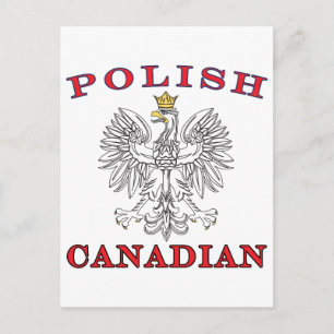 Carte Postale Aigle blanc polonais