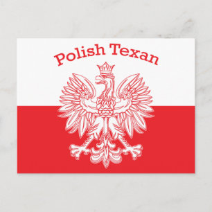 Carte Postale Aigle blanc texan polonais