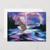 Carte Postale Aigle chauve (Devant / Derrière)