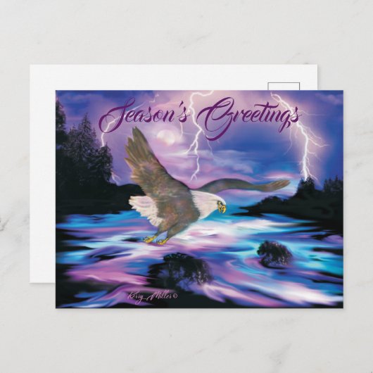 Carte Postale Aigle chauve (Devant / Derrière)