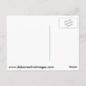 Carte Postale Aigle chauve ayant une mauvaise journée de cheveux (Dos)