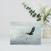 Carte Postale Aigle chauve et montagnes (Debout devant)