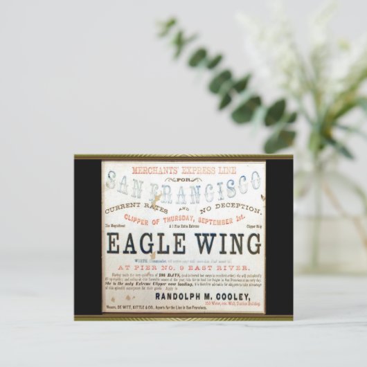 Carte Postale Aigle Clipper Voile (Debout devant)