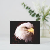 Carte Postale Aigle d'Amérique (Debout devant)