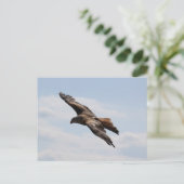 Carte Postale Aigle dans le ciel (Debout devant)
