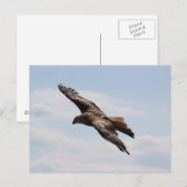 Carte Postale Aigle dans le ciel (Devant / Derrière)