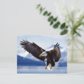 Carte Postale Aigle d'atterrissage (Debout devant)