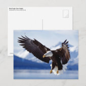Carte Postale Aigle d'atterrissage (Devant / Derrière)
