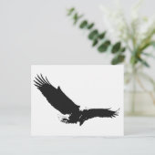 Carte Postale Aigle d'atterrissage noir et blanc (Debout devant)