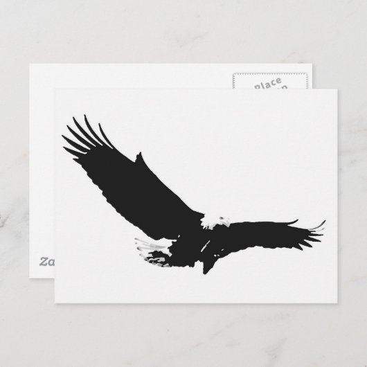 Carte Postale Aigle d'atterrissage noir et blanc (Devant / Derrière)