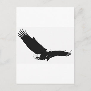 Carte Postale Aigle d'atterrissage noir et blanc