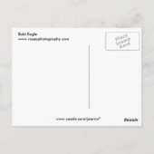 Carte Postale Aigle de Bald (Dos)