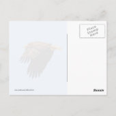 Carte Postale Aigle de Bald (Dos)