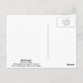 Carte Postale Aigle de Bald (Dos)