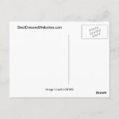 Carte Postale Aigle de Bald (Dos)