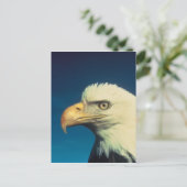 Carte Postale Aigle de Bald (Debout devant)