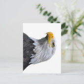 Carte Postale Aigle de Bald (Debout devant)