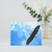 Carte Postale Aigle de liberté volant dans le ciel (Debout devant)