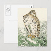 Carte Postale Aigle de mer du Japon - Balbuzard pêcheur (Devant / Derrière)