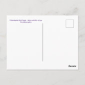 Carte Postale Aigle de Philadelphie Bald (Dos)