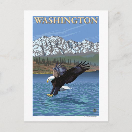 Carte Postale Aigle de plongée de Washington (Devant)