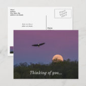 Carte Postale Aigle De Superlune Rose Qui Pense À Vous (Devant / Derrière)