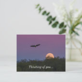 Carte Postale Aigle De Superlune Rose Qui Pense À Vous (Debout devant)