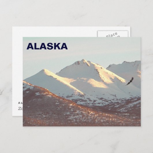 Carte Postale Aigle d'hiver (Devant / Derrière)