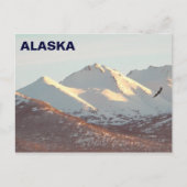 Carte Postale Aigle d'hiver (Devant)