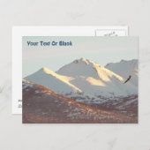 Carte Postale Aigle d'hiver (Devant / Derrière)