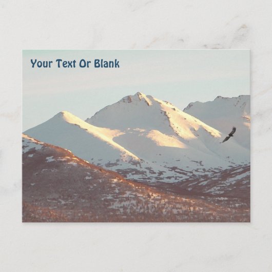 Carte Postale Aigle d'hiver (Devant)