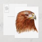 Carte Postale Aigle d'or 2011 (Devant / Derrière)